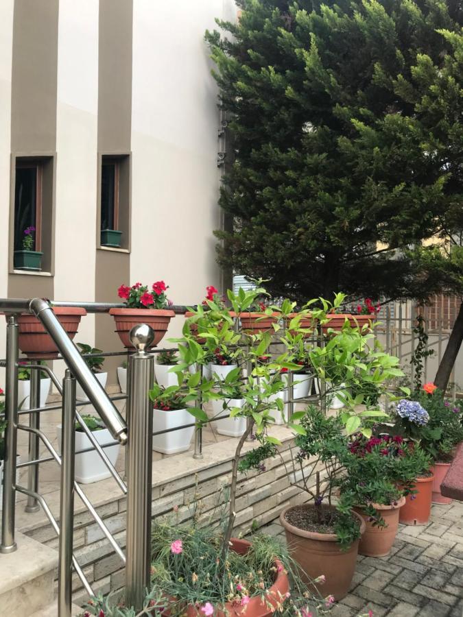 Guest House Il Palazzo Драч Екстериор снимка